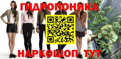 таблы Кингисепп