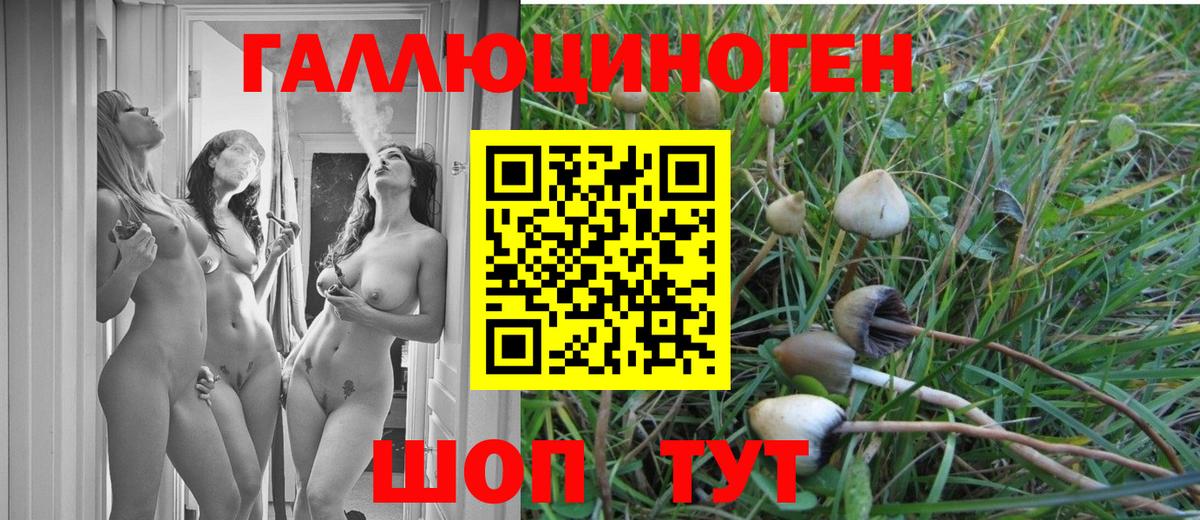 Псилоцибиновые грибы MAGIC MUSHROOMS Кудрово