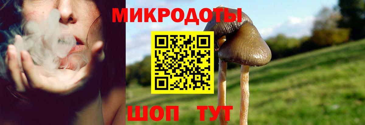 Галлюциногенные грибы ЛСД  Галлюциногенные грибы Psilocybe  Вход с VPN  Кудрово 
