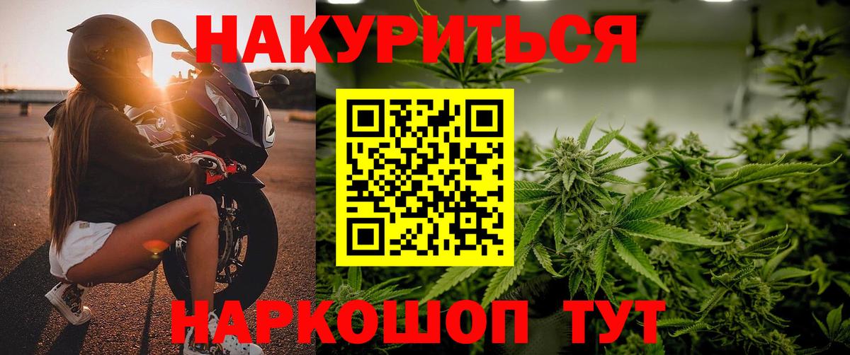 Канабис SATIVA & INDICA Кудрово